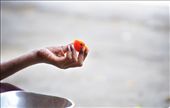 A young girl observing her meal: by majestic_india, Views[332]