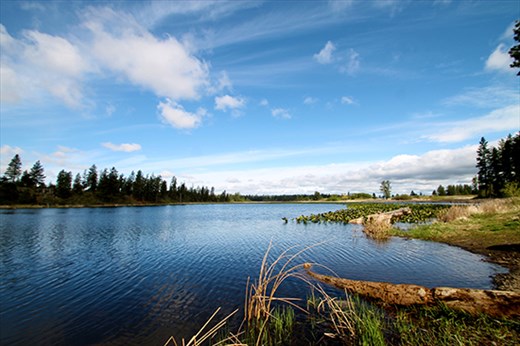 Clear mornings in Cheney, WA.
