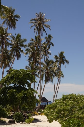 Fale at Return to Paradise Resort