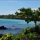 driving in Savaii Views[186]