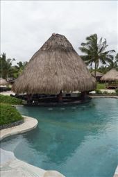 Bar in Pool at Coconut Beach Resort, Upolo: by malas, Views[141]