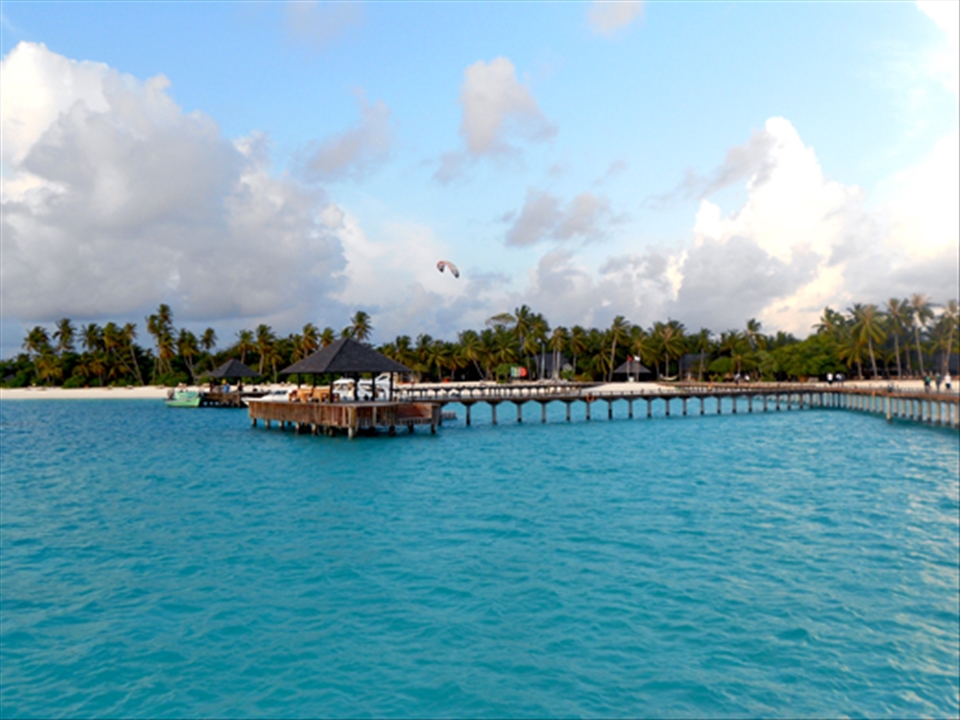 Captivating beauty of the forrests can be seen at first glance