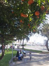 by mallorca, Views[139]