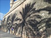 by mallorca, Views[171]