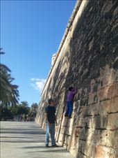 by mallorca, Views[127]