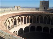 by mallorca, Views[186]