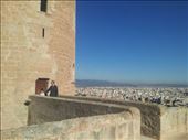 by mallorca, Views[172]