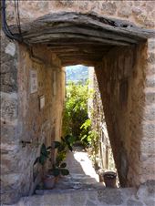 by mallorca, Views[136]