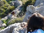 by mallorca, Views[202]