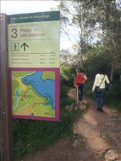 by mallorca, Views[140]