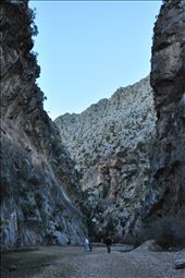 by mallorca, Views[151]