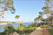 by mallorca, Views[170]