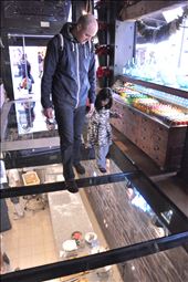 by mallorca, Views[247]