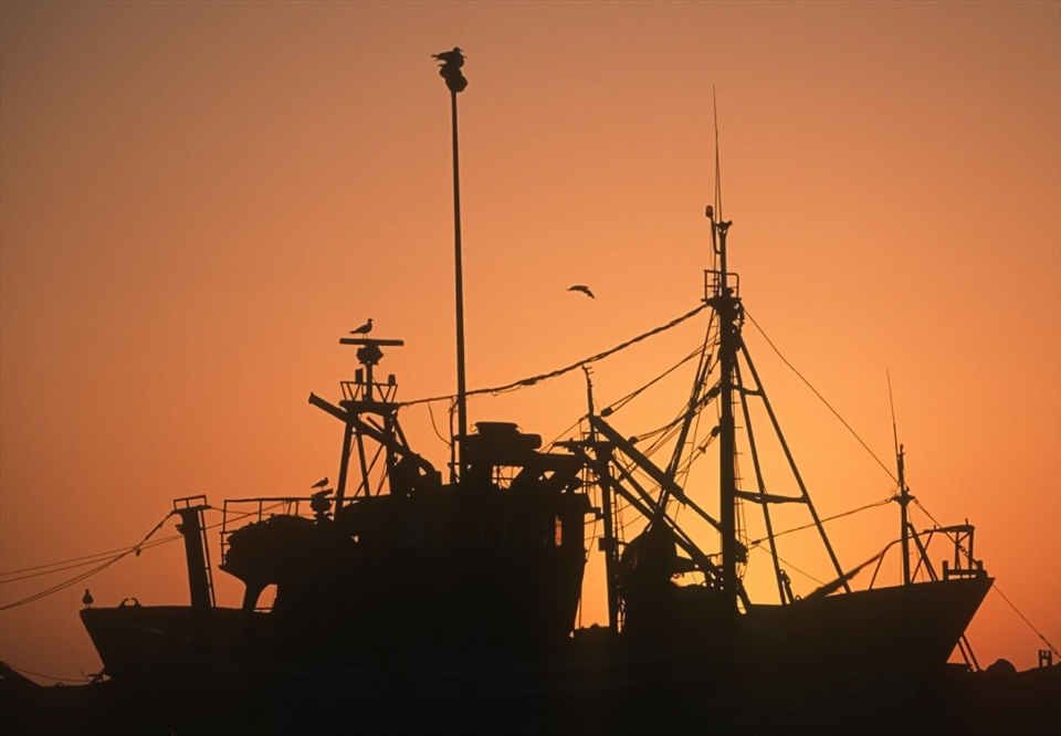 Photo of two fishing boats in Essauoira harbour at sunset. The photo has been with an Olympus OM camera and a 50 mm. standard lens with slide film. 