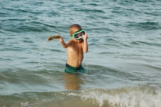 If you seek you shall find