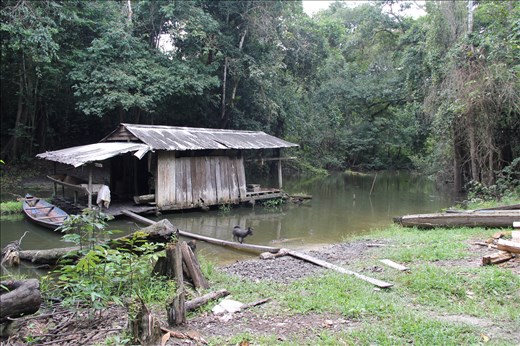 Riverside house in forest