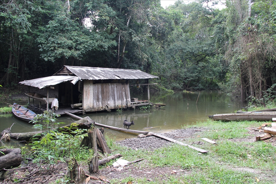 Riverside house in forest