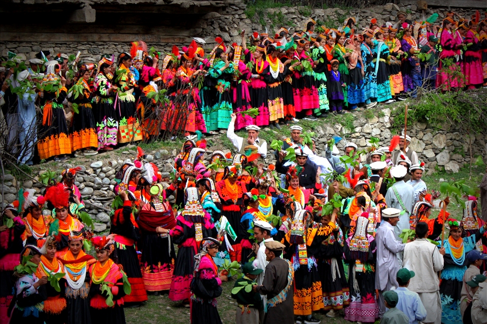 Kalash men and women make their way to the <i>charso</i>, the village dancing ground, waving walnut brunches in the air. This practice is said to please the fairies and nature spirits living in the surrounding mountains. 
<p>
The walnut branches also have another purpose – a Kalash woman may use her branch to select a prospective “husband”. This custom, translated into English as “marriage by elopement”, is one of the mischievous highlights of the Joshi festival, and may involve men and women who are already married. 
