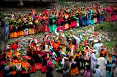 Kalash men and women make their way to the <i>charso</i>, the village dancing ground, waving walnut brunches in the air. This practice is said to please the fairies and nature spirits living in the surrounding mountains. 
<p>
The walnut branches also have another purpose – a Kalash woman may use her branch to select a prospective “husband”. This custom, translated into English as “marriage by elopement”, is one of the mischievous highlights of the Joshi festival, and may involve men and women who are already married. 
: by manalahmad, Views[821]