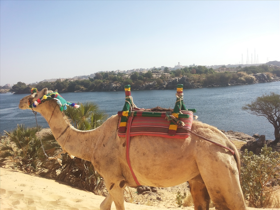 A view pf the Nile from Nubia