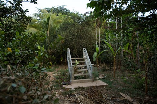 Stair way to paradise 