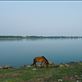 Along the river of Kampong Cham: by mancheung, Views[204]