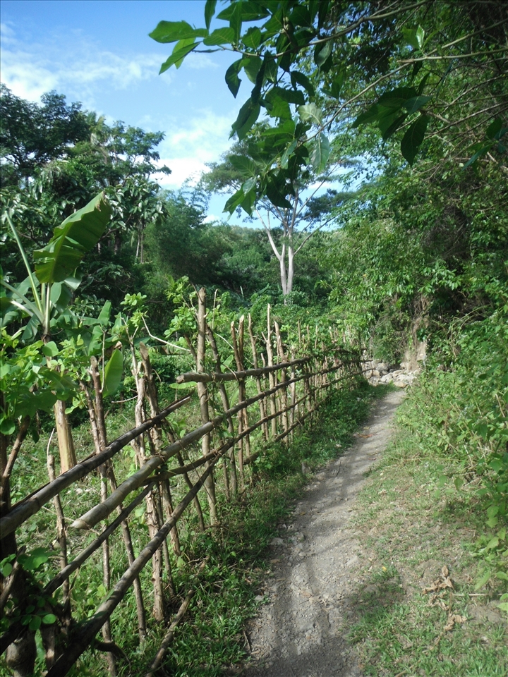 HAWILI  COMMUNITY - Hawili is a bucolic village in Mansalay inhabited by the indigenous tribe of Mangyan, a peaceful and close-knit cultural minority of the Island of Mindoro. The fragile fence serves as protection for crops from stray animals.