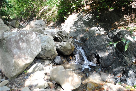 HAWILI RIVER II - This is a tributary of Hawili River I. Unlike Hawili River I, this is characterized by rocks and immense jumble of boulders along its two and a half kilometers stretch. This is a rich vein of Jurassic marvels, especially of ammonites and bivalves. It is cradled in a lush landscape of vegetation. Brooding hills are planted to coconut, bamboo, palm trees, banana and a variety of fruit trees.  Lofty trees have been reduced in number because of selective cutting and some were sacrificed to high charcoal demand in the last 4 years. For a new comer this rustic sight is lovely. During summer, the river flow no longer reaches down Hawili River I.