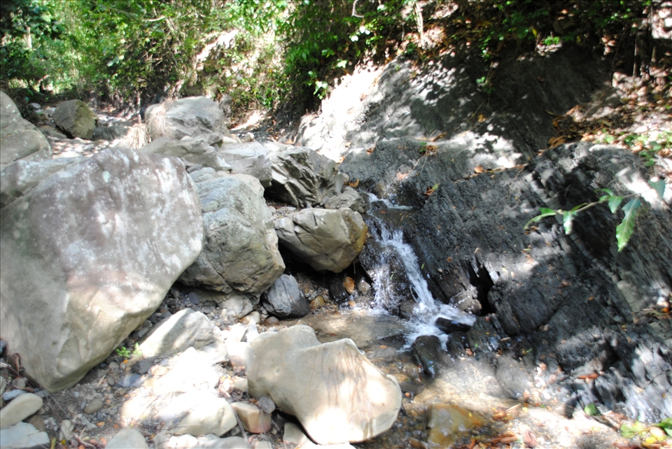 HAWILI RIVER II - This is a tributary of Hawili River I. Unlike Hawili River I, this is characterized by rocks and immense jumble of boulders along its two and a half kilometers stretch. This is a rich vein of Jurassic marvels, especially of ammonites and bivalves. It is cradled in a lush landscape of vegetation. Brooding hills are planted to coconut, bamboo, palm trees, banana and a variety of fruit trees.  Lofty trees have been reduced in number because of selective cutting and some were sacrificed to high charcoal demand in the last 4 years. For a new comer this rustic sight is lovely. During summer, the river flow no longer reaches down Hawili River I.