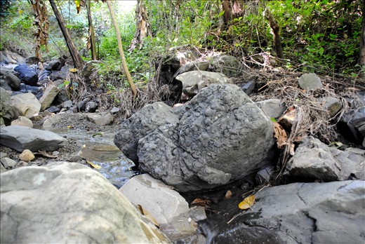 FOSSIL BOULDER - This rock has many ammonite impressions and vestige of bivalves. Many Mangyans who live in the vicinity are not aware of their scientific value. A lot of fossil marks had always been nibbled away by strong currents during the rainy season and floods.