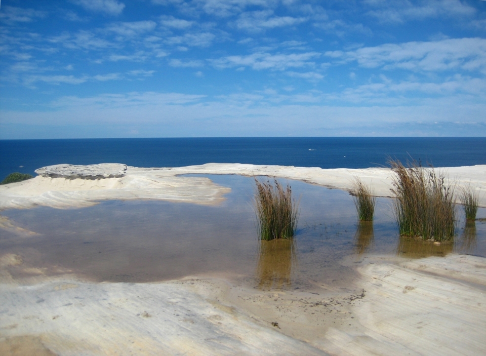 Rivers run from south to north here in the second oldest national park in the world after Yellow Stone. In autumn, along the two day hike of the Coast Track, a freshwater inlet trickles out atop a cliff almost 100 meters above the sea. Water collects in pools washed off the stone’s face depositing within a natural, mineral rich exfoliant. 