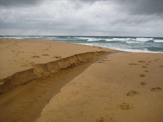 Promising a picnic lunch and a cooling swim as hikers meet the challenge of the 27km Coast Track, Little Marley is one of many secluded beaches dividing the coastal cliffs that skirt the east of the National Park. But the weather changes rapidly here. Temperamental winds hasten, leaving no trace of the crisp blue autumn sky that shone less than an hour ago. Torrents open up the wide Tasman, churning with speed and vigour catching the hiker by surprise. Time to set camp, there’ll be no swim today