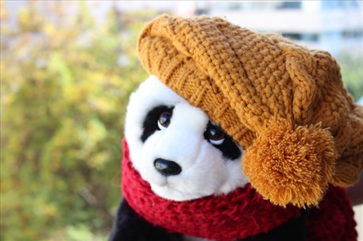 this winter will be cold, we have to be prepared.