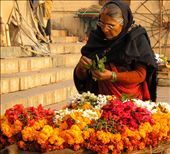 A flower seller in Varanasi: by manjuka, Views[270]