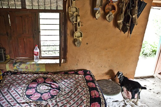 Lalbahadur ‘s “pet” in his room, decorated with his handmade sarangi.