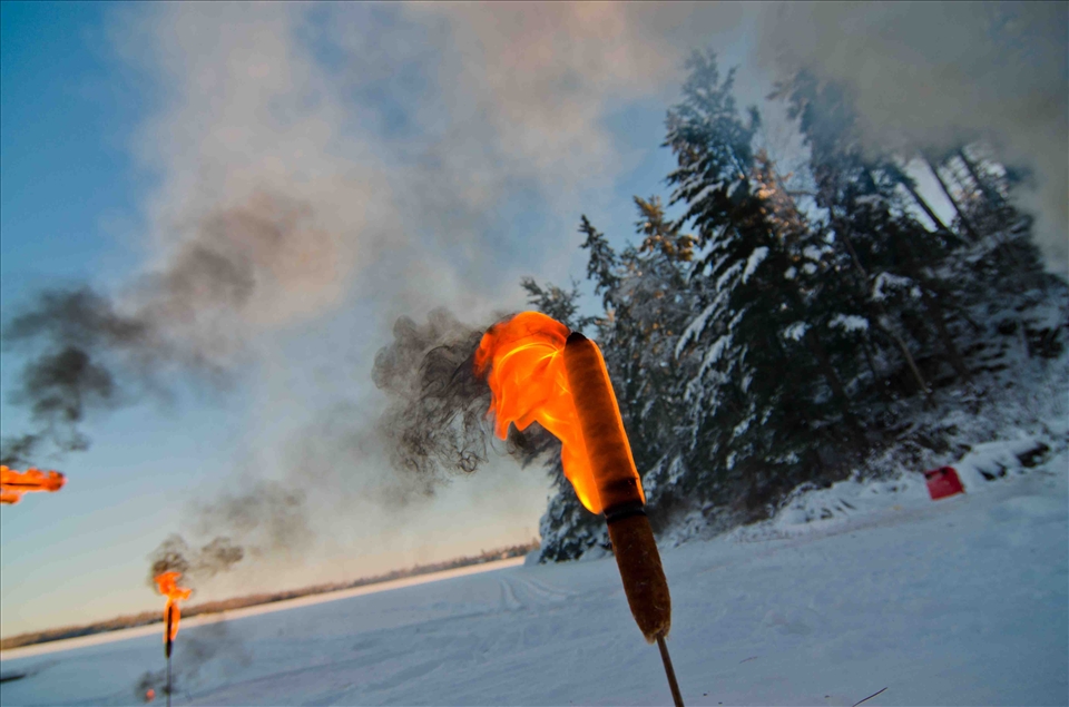 A cattail is known as a four-season food, medicinal, and a utility plant. It can be used as eight food products, three therapeutic, and at least twelve other functional uses including a torch. 
