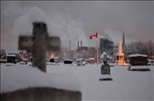 To the right of the Canadian flag stands a monument in honor of the soldiers who fought bravely in the Second World War between 1939-1945. : by mantini, Views[593]