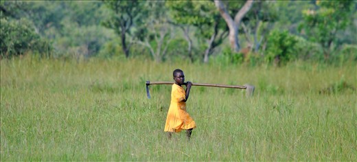 A kid going back  to school after cultivaing