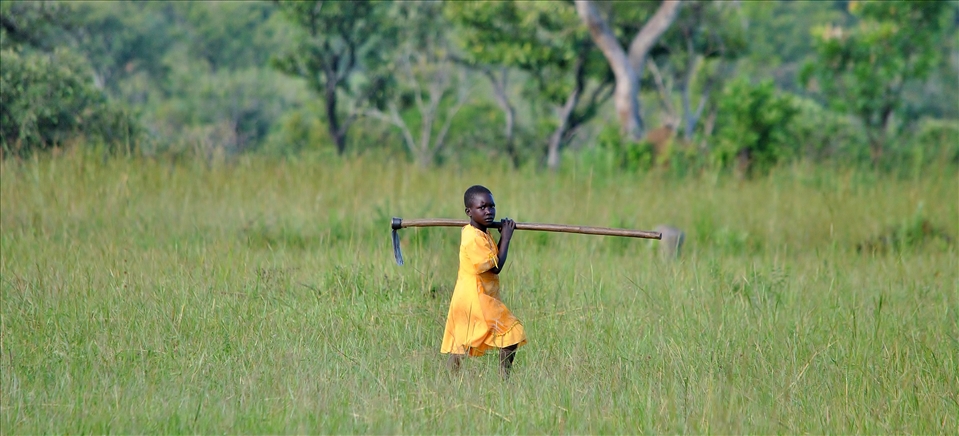 A kid going back  to school after cultivaing