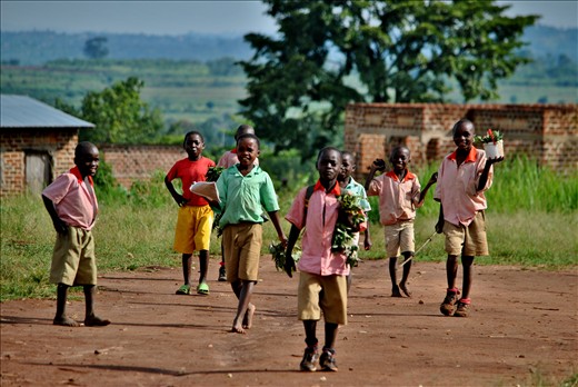 kids going to school