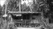 Casa baja en Puerto Barton: by manuel, Views[1503]