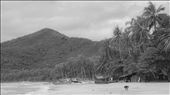 Playa de Nagtabon y perro. Puerto Princesa: by manuel, Views[889]