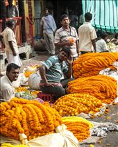 Mercado de las Flores, Kolkata: by manuel, Views[177]