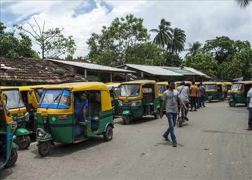 Totos esperando. Kobardanga. Kolkata