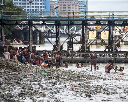 Aseo en Mercado de las Flores, Kolkata