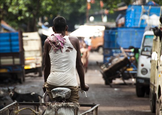 Mercado de las Flores, Kolkata