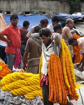 Mercado de las Flores, Kolkata: by manuel, Views[142]