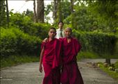 Joy & friendship.: by manuel, Views[308]