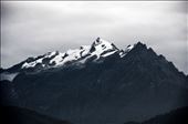by manuel, Views[260]