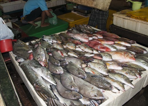 Mercado de pescado (4). Bali